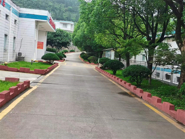 1718074961163823.jpg 1.jpg