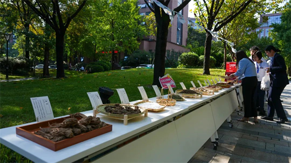 1729222819830390.jpg 4.jpg