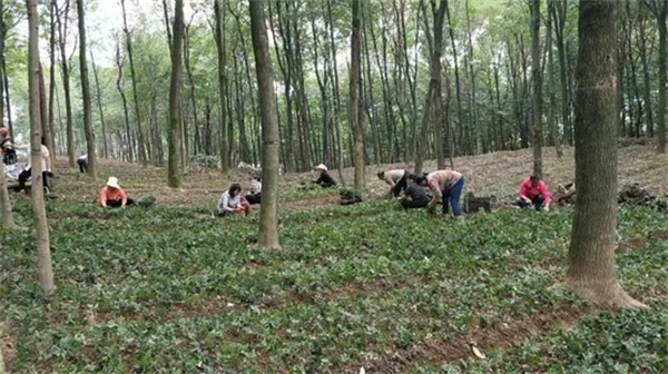 1730186313368210.jpg 圖片3.jpg