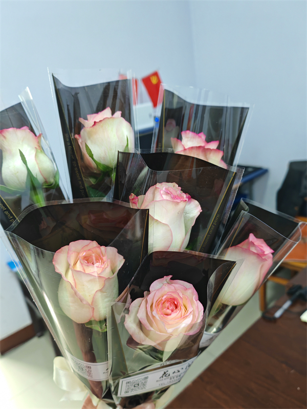 1741314040362620.jpg 8.jpg