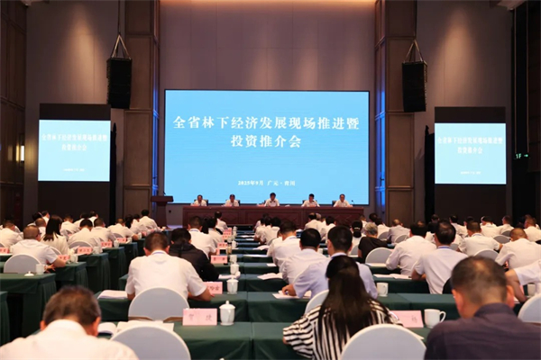 1758177483262533.jpg 1.jpg