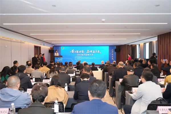 1764559233336736.jpg 2.jpg