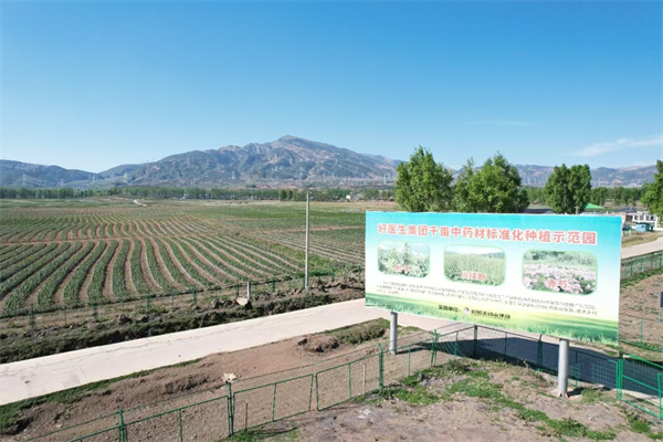 1767076908978952.png 4.png